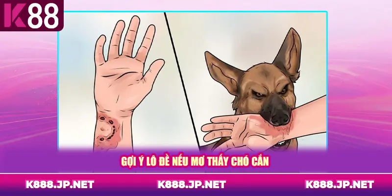 Gợi ý lô đề nếu mơ thấy chó cắn