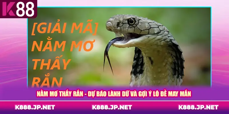 Nằm Mơ Thấy Rắn - Dự Báo Lành Dữ Và Gợi Ý Lô Đề May Mắn