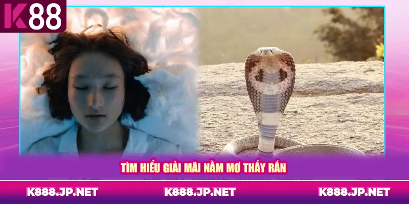 Tìm hiểu giải mã nằm mơ thấy rắn